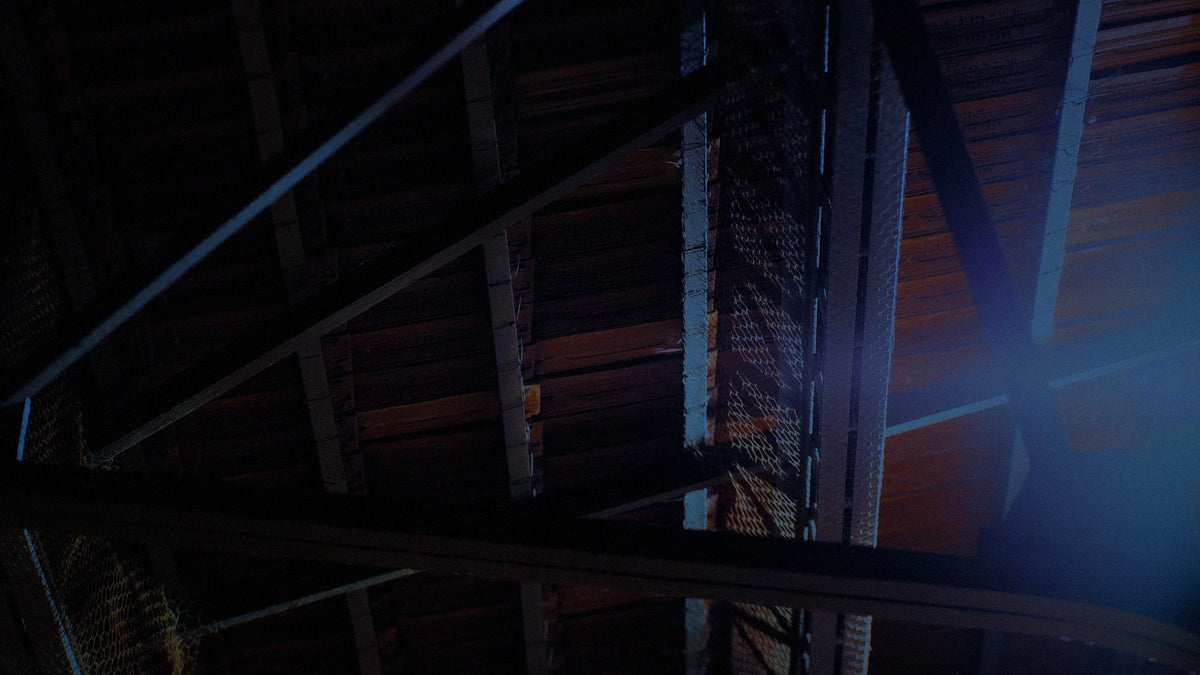 A dark, atmospheric photograph of a wooden ceiling or roof structure with beams and netting, illuminated by dramatic blue light from the right side.